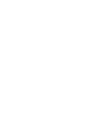 Card1 Icon