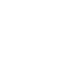 Card1 Icon