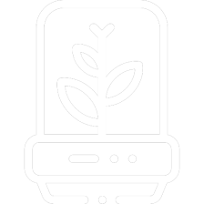 Card1 Icon